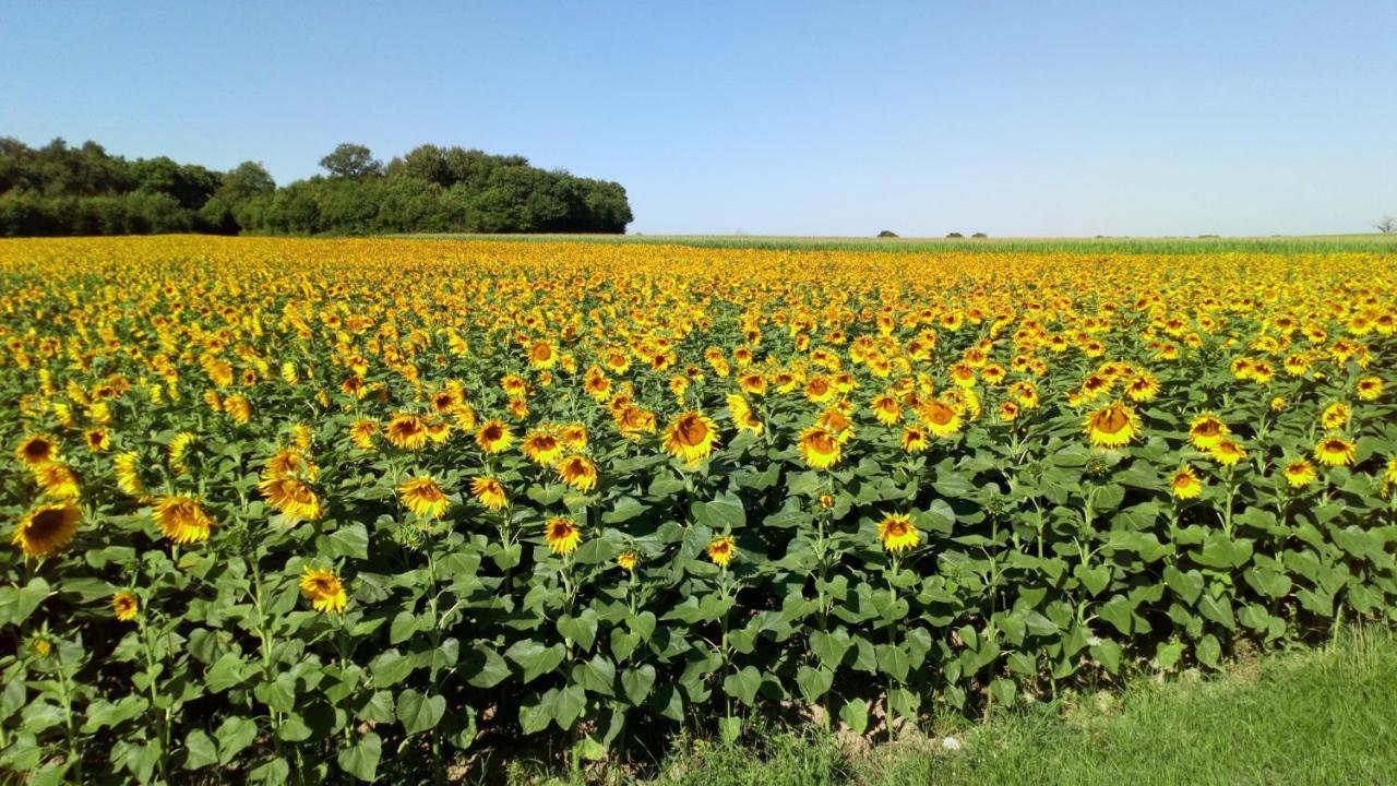 La Petite Bellarderie Champniers (Charente) Exterior foto